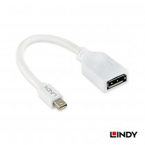 41021 - Mini DisplayPort 公 to DisplayPort 母 轉接器,20cm
